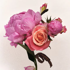 Full Body Fragrance Routine T7