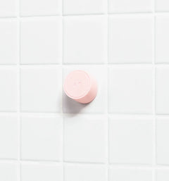Magnetic Storage Hook E2